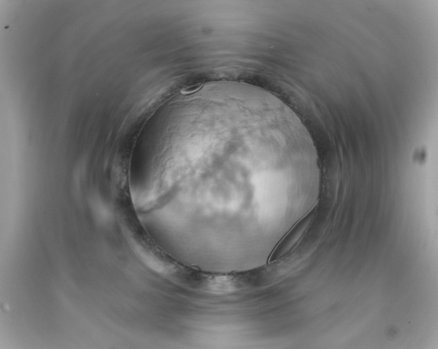 X0000091580091200709101028