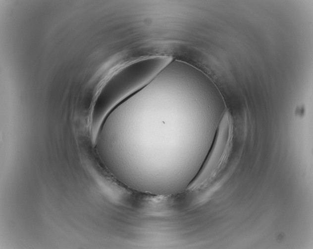 X0000091580092200709101028