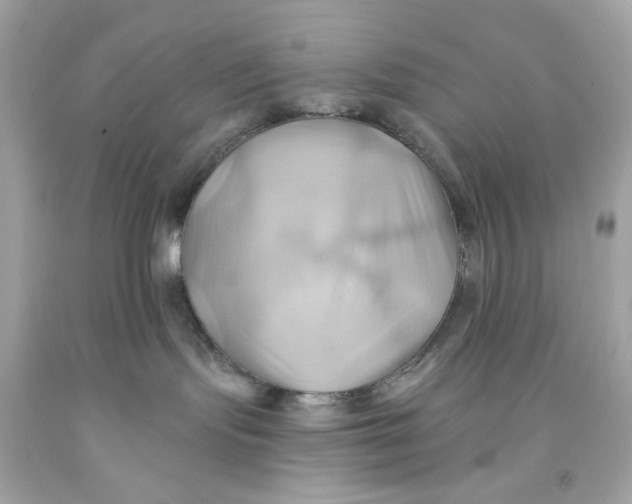 X0000091580095200709101028