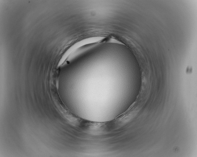 X0000091580096200709101028