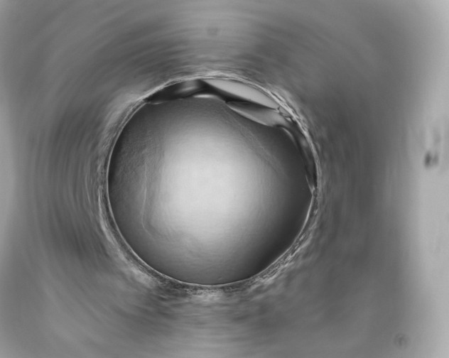 X0000091580097200709101028