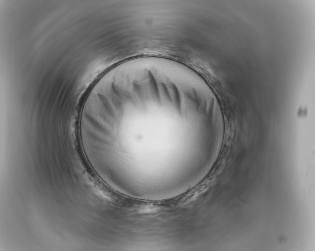 X0000091580098200709101028