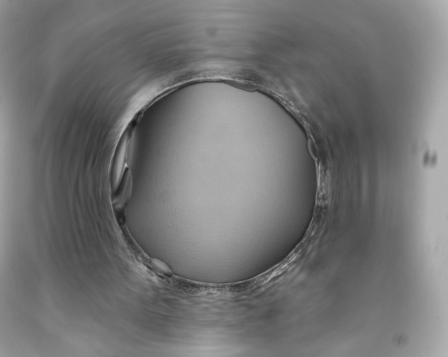 X0000091580099200709101028