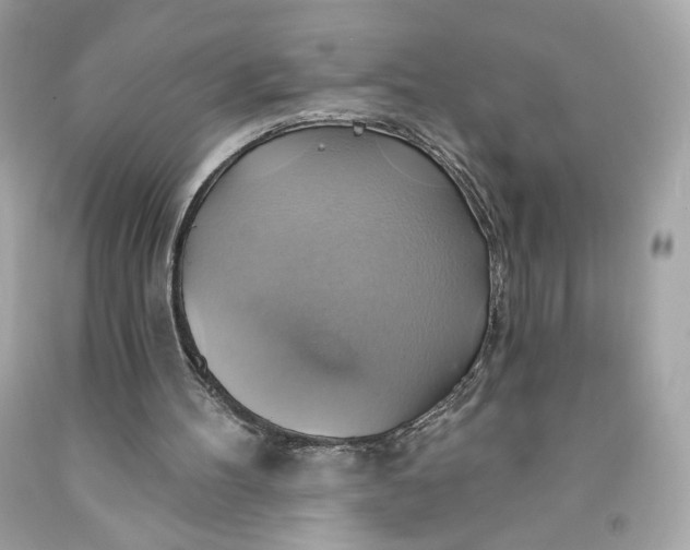 X0000091580100200709101028