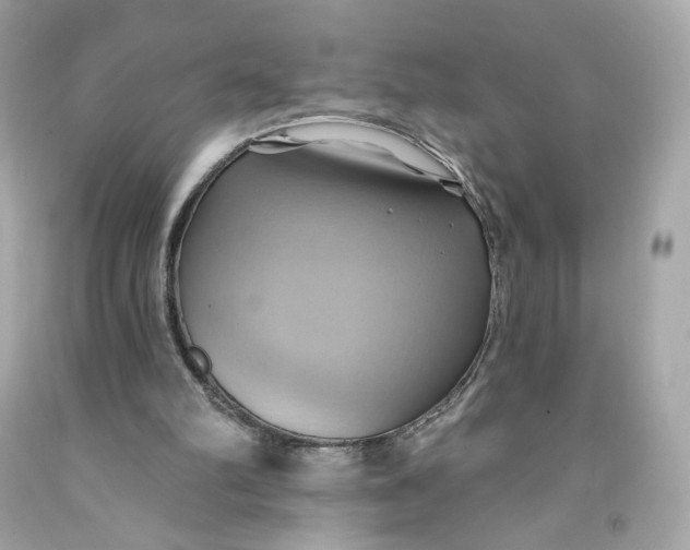 X0000091580102200709101028