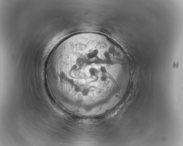 X0000091580103200709101028