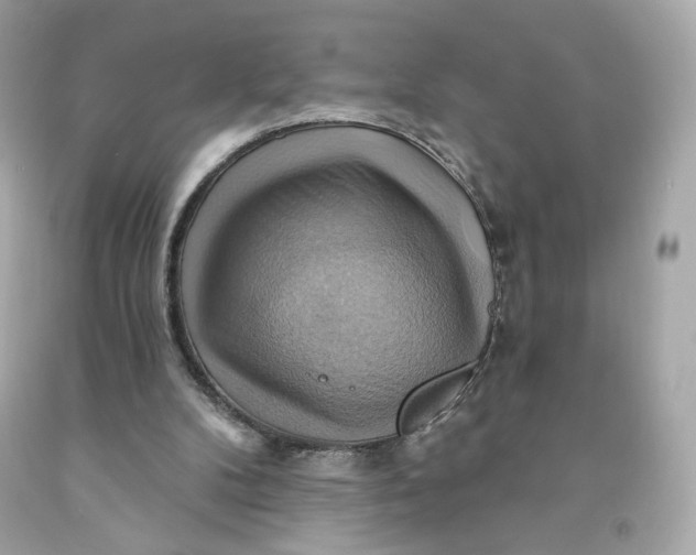 X0000091580104200709101028