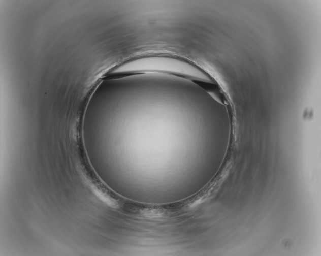 X0000091580105200709101028