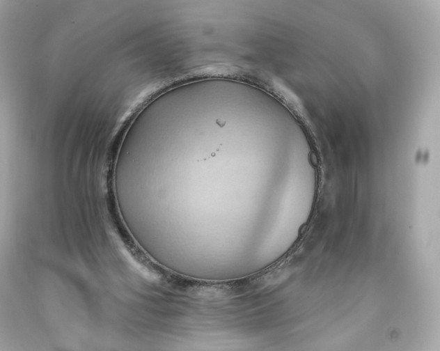 X0000091580106200709101028