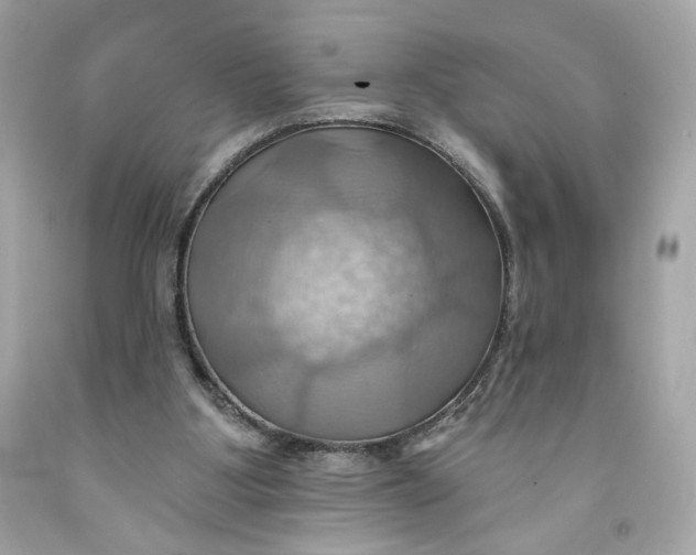 X0000091580107200709101028