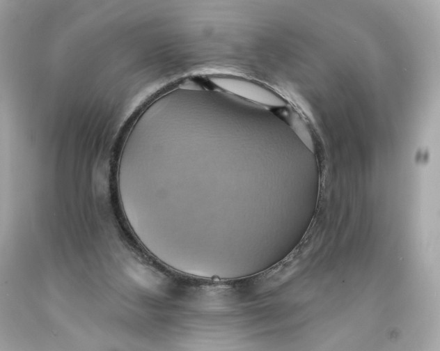 X0000091580108200709101027