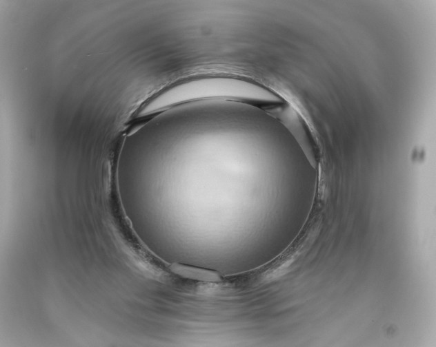 X0000091580109200709101027