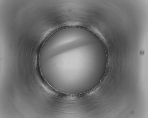 X0000091580110200709101027