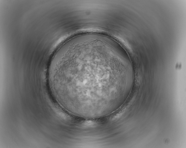 X0000091580111200709101027