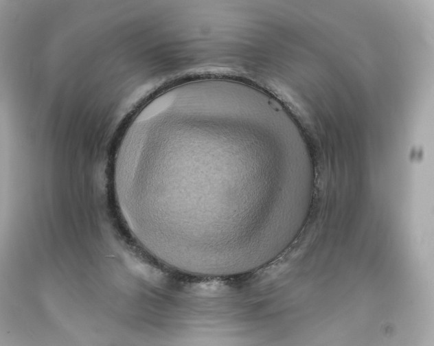 X0000091580112200709101027