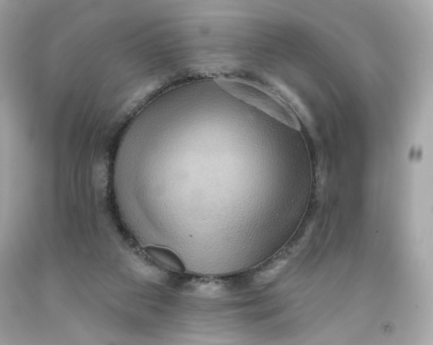 X0000091580113200709101027