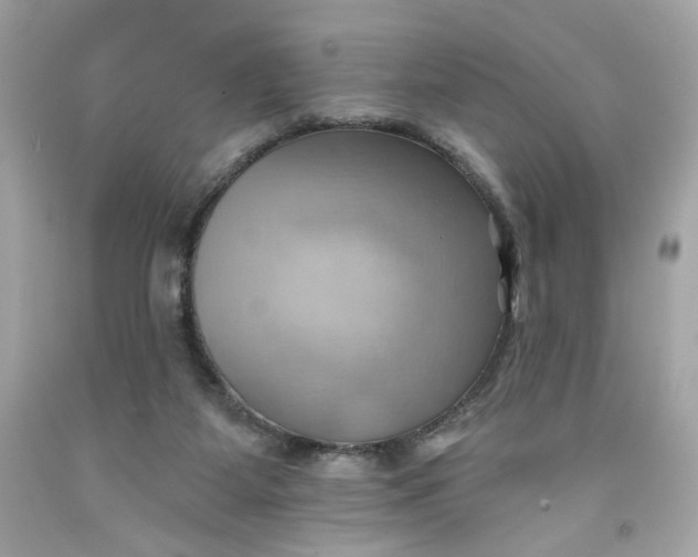 X0000091580115200709101027