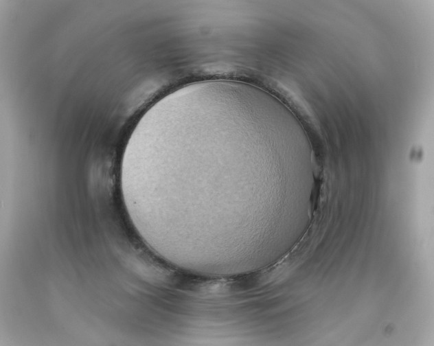 X0000091580116200709101027