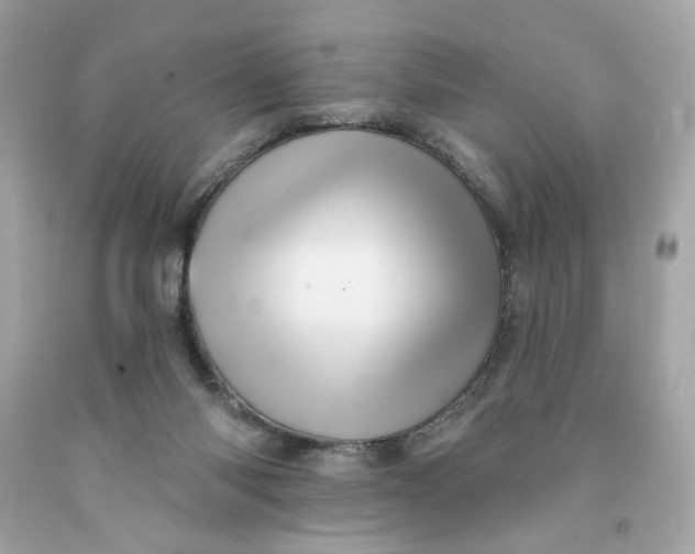 X0000091580118200709101027