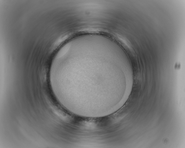 X0000091580120200709101027