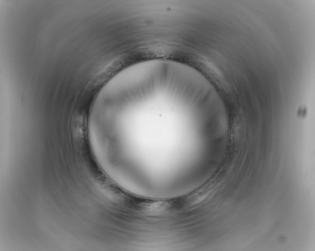 X0000091580122200709101027