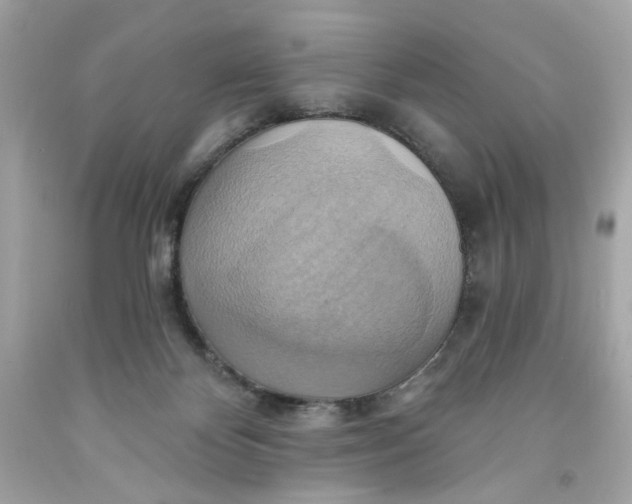 X0000091580124200709101027