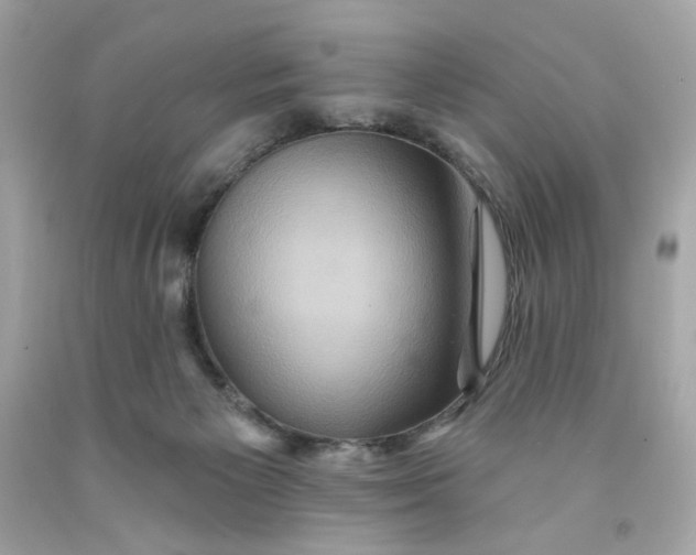 X0000091580125200709101027