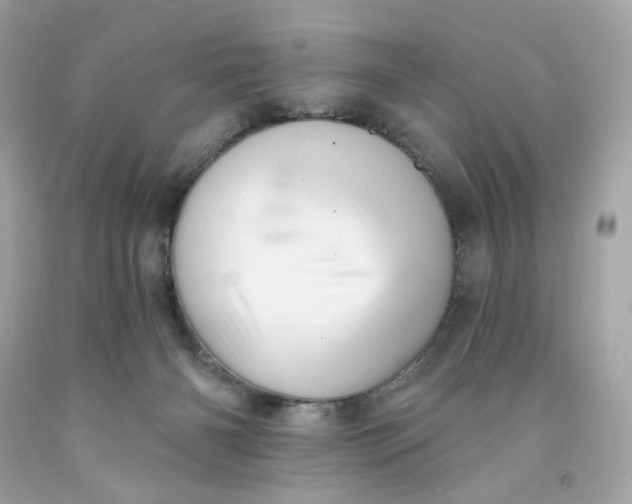 X0000091580126200709101027