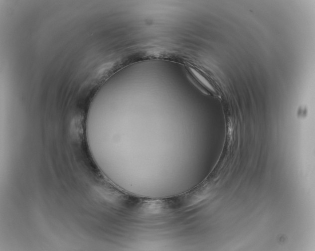 X0000091580127200709101027