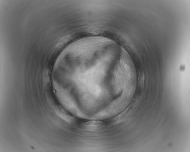 X0000091580128200709101027