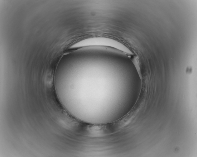 X0000091580129200709101027