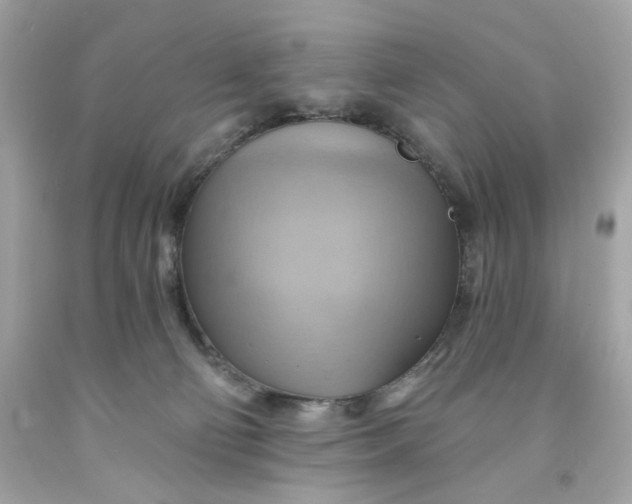 X0000091580130200709101027