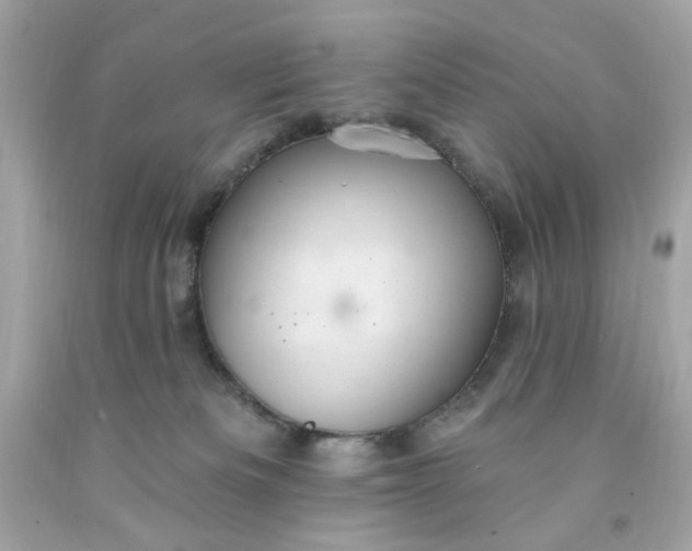 X0000091580133200709101027