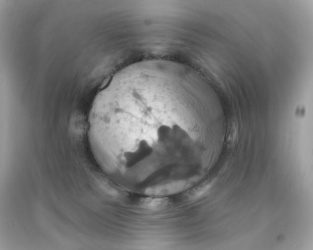 X0000091580135200709101027