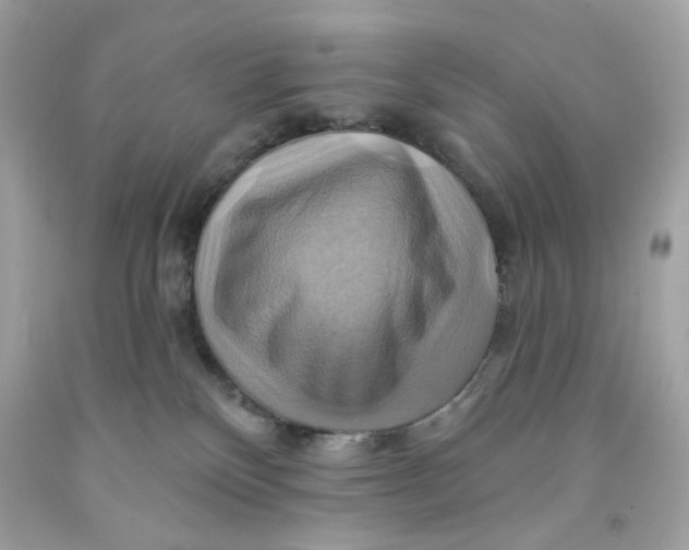 X0000091580136200709101027