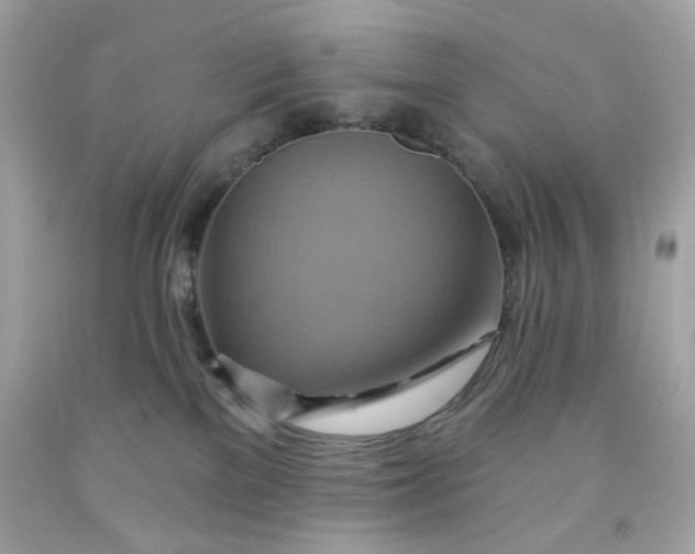 X0000091580137200709101027