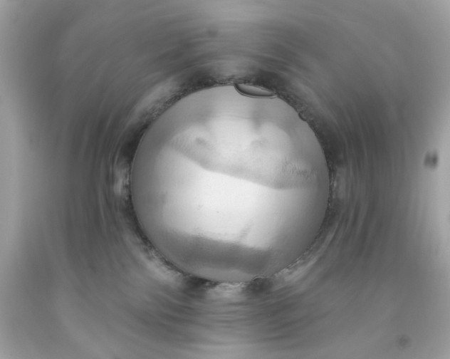 X0000091580138200709101027