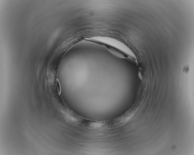 X0000091580139200709101027