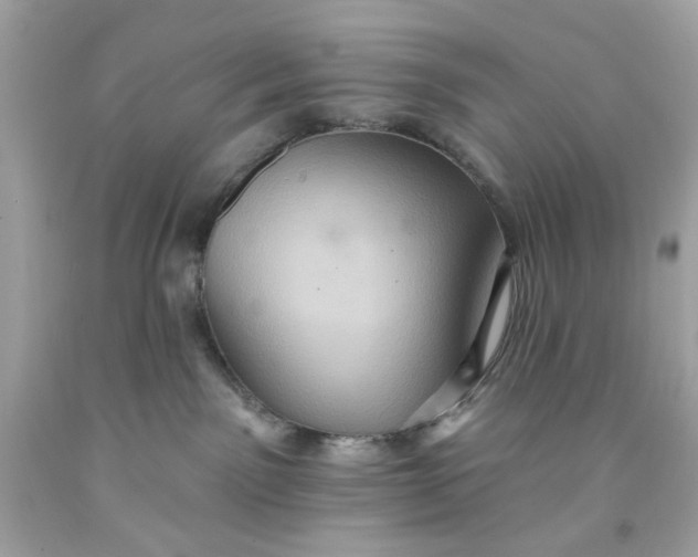 X0000091580141200709101027