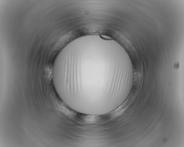 X0000091580142200709101027