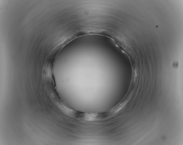 X0000091580143200709101027