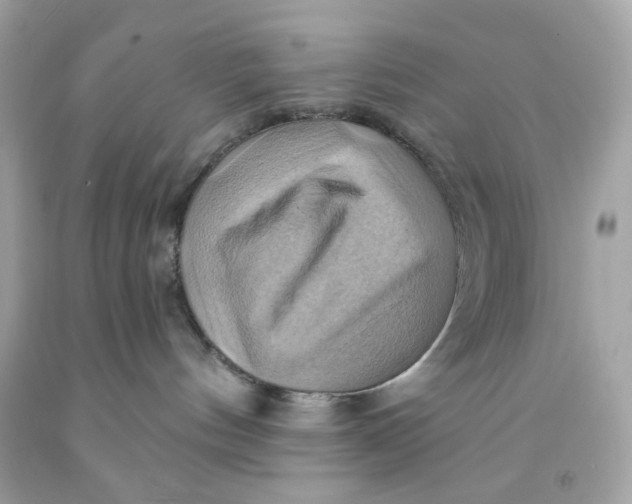 X0000091580144200709101027