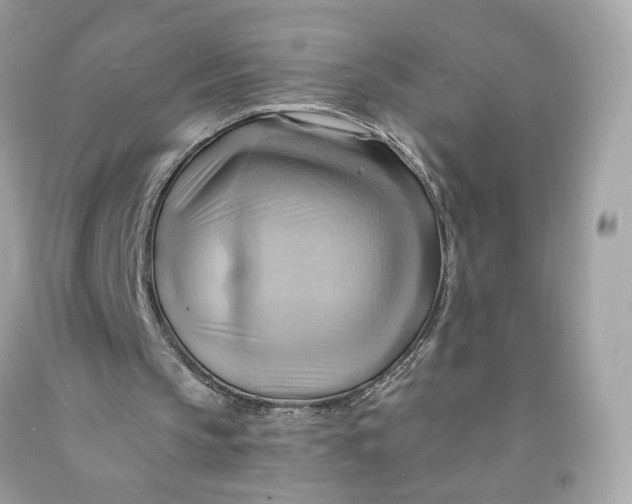 X0000091580145200709101026