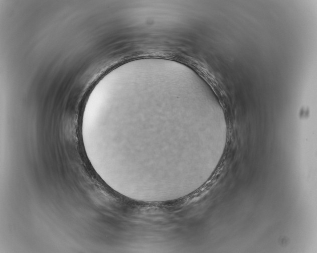 X0000091580146200709101026