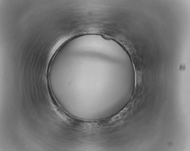 X0000091580147200709101026