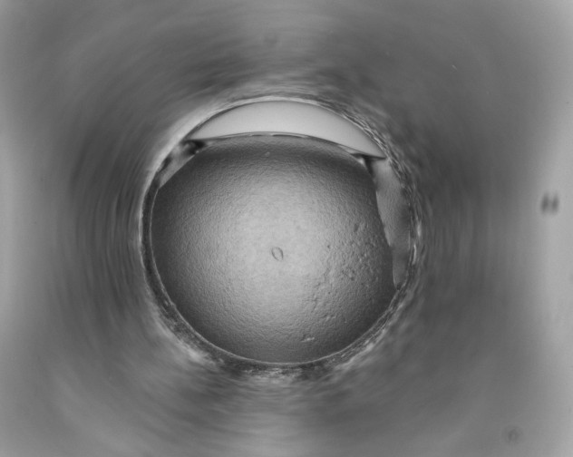 X0000091580148200709101026