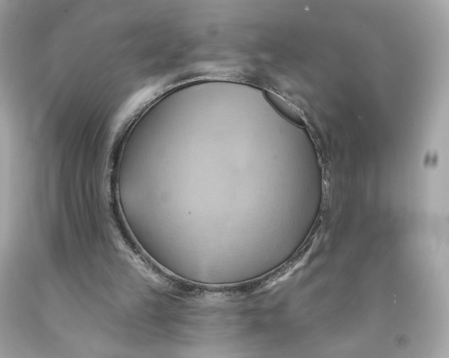 X0000091580149200709101026