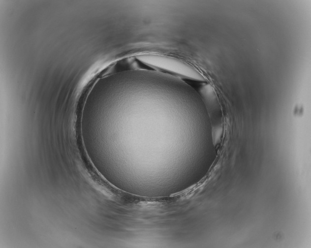 X0000091580150200709101026