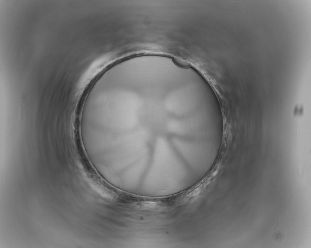 X0000091580151200709101026