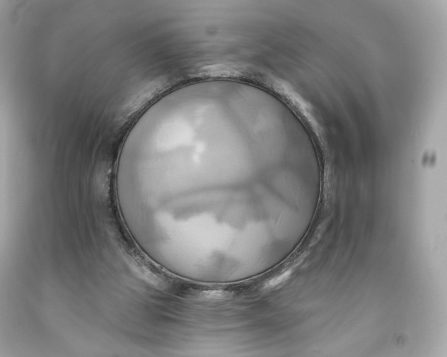 X0000091580153200709101026